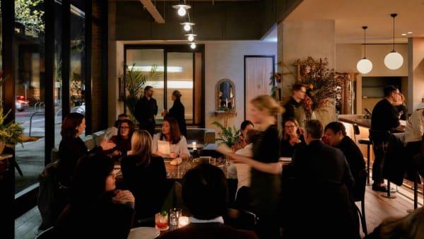 Spring '25 Pop-Up Scarf Dinners at Molli